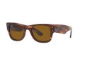 Ray-Ban Mega Wayfarer Slnečné okuliare RB 0840S 954/33