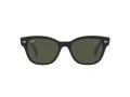 Ray-Ban Slnečné okuliare RB 0880S 901/31
