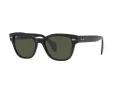 Ray-Ban Slnečné okuliare RB 0880S 901/31