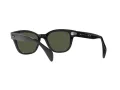 Ray-Ban Slnečné okuliare RB 0880S 901/31
