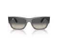 Ray-Ban Carlos Slnečné okuliare RB 0947S 667571