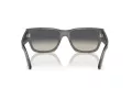 Ray-Ban Carlos Slnečné okuliare RB 0947S 667571