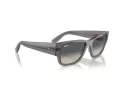 Ray-Ban Carlos Slnečné okuliare RB 0947S 667571