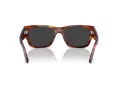 Ray-Ban Carlos Slnečné okuliare RB 0947S 954/48
