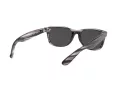 Ray-Ban New Wayfarer Slnečné okuliare RB 2132 6430/B1