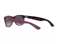 Ray-Ban New Wayfarer Slnečné okuliare RB 2132 6606/M3
