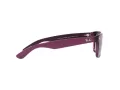 Ray-Ban New Wayfarer Slnečné okuliare RB 2132 6606/M3