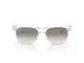 Ray-Ban New Wayfarer Slnečné okuliare RB 2132 677432