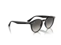 Ray-Ban Slnečné okuliare RB 0RB2180 601/11