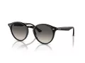 Ray-Ban Slnečné okuliare RB 0RB2180 601/11