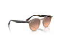 Ray-Ban Slnečné okuliare RB 2180 678846