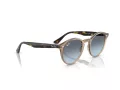 Ray-Ban Slnečné okuliare RB 2180 6788V1