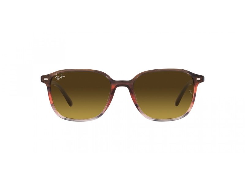 Ray-Ban Leonard Slnečné okuliare RB 2193 138085