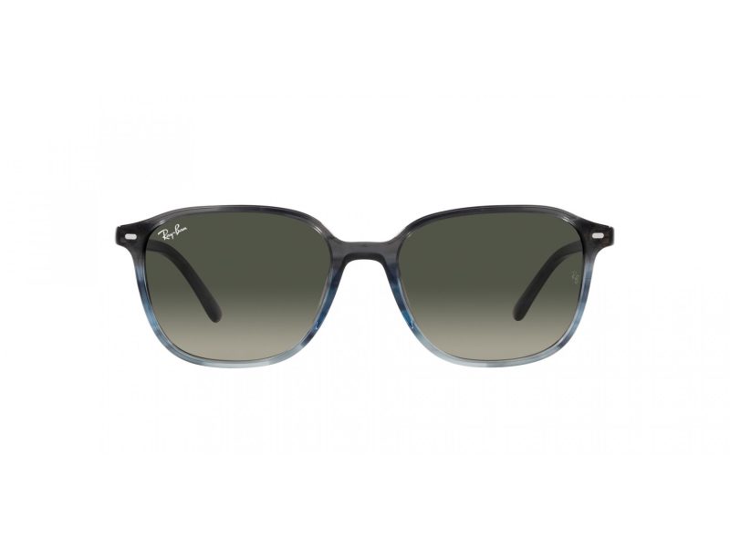 Ray-Ban Leonard Slnečné okuliare RB 2193 138171