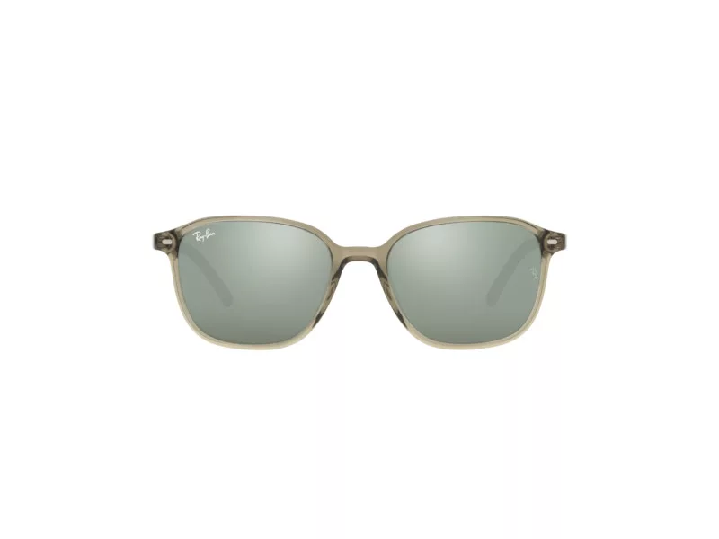 Ray-Ban Leonard Slnečné okuliare RB 2193 6635/5C