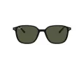 Ray-Ban Leonard Slnečné okuliare RB 2193 901/31