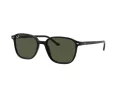Ray-Ban Leonard Slnečné okuliare RB 2193 901/31