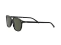 Ray-Ban Leonard Slnečné okuliare RB 2193 901/31