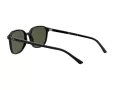 Ray-Ban Leonard Slnečné okuliare RB 2193 901/31