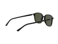 Ray-Ban Leonard Slnečné okuliare RB 2193 901/31