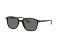 Ray-Ban Leonard Slnečné okuliare RB 2193 901/58