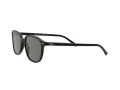 Ray-Ban Leonard Slnečné okuliare RB 2193 901/58