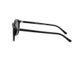 Ray-Ban Leonard Slnečné okuliare RB 2193 901/58