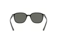 Ray-Ban Leonard Slnečné okuliare RB 2193 901/58