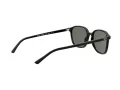 Ray-Ban Leonard Slnečné okuliare RB 2193 901/58