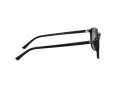 Ray-Ban Leonard Slnečné okuliare RB 2193 901/58