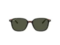 Ray-Ban Leonard Slnečné okuliare RB 2193 902/31