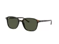 Ray-Ban Leonard Slnečné okuliare RB 2193 902/31