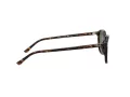 Ray-Ban Leonard Slnečné okuliare RB 2193 902/31