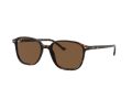 Ray-Ban Leonard Slnečné okuliare RB 2193 902/57