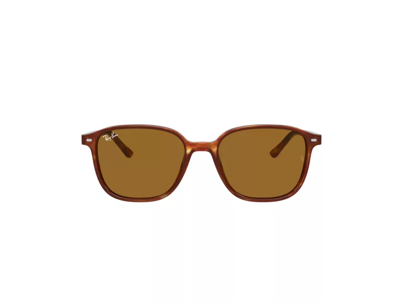 Ray-Ban Leonard Slnečné okuliare RB 2193 954/33