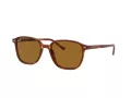 Ray-Ban Leonard Slnečné okuliare RB 2193 954/33