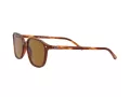 Ray-Ban Leonard Slnečné okuliare RB 2193 954/33