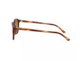 Ray-Ban Leonard Slnečné okuliare RB 2193 954/33
