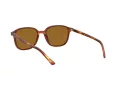 Ray-Ban Leonard Slnečné okuliare RB 2193 954/33