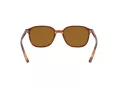 Ray-Ban Leonard Slnečné okuliare RB 2193 954/33