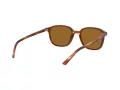 Ray-Ban Leonard Slnečné okuliare RB 2193 954/33