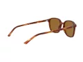Ray-Ban Leonard Slnečné okuliare RB 2193 954/33
