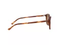 Ray-Ban Leonard Slnečné okuliare RB 2193 954/33