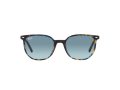 Ray-Ban Elliot Slnečné okuliare RB 2197 13563M