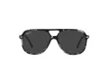 Ray-Ban Bill Slnečné okuliare RB 2198 133348