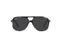 Ray-Ban Bill Slnečné okuliare RB 2198 133348