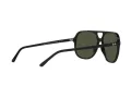Ray-Ban Bill Slnečné okuliare RB 2198 901/31
