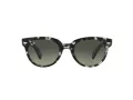 Ray-Ban Orion Slnečné okuliare RB 2199 1333/71