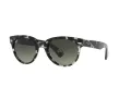 Ray-Ban Orion Slnečné okuliare RB 2199 1333/71