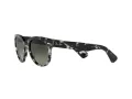 Ray-Ban Orion Slnečné okuliare RB 2199 1333/71